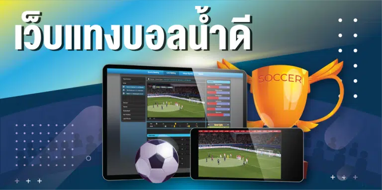 วิธีแทงบอล