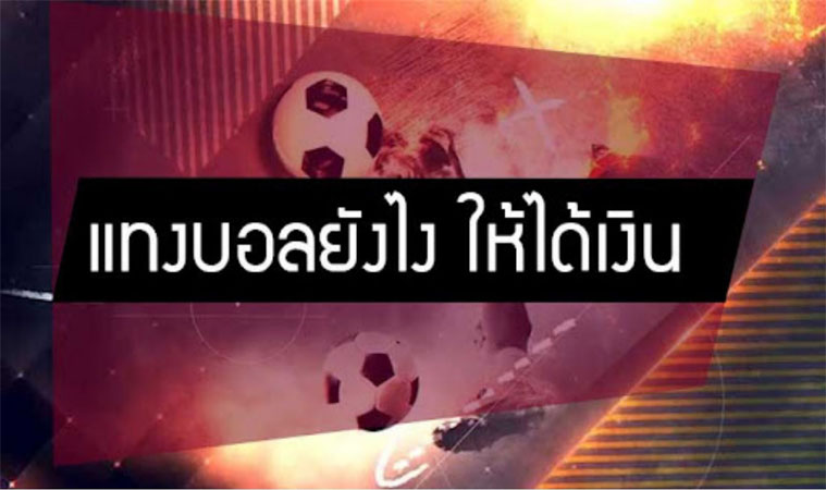 แทงบอลให้รวย